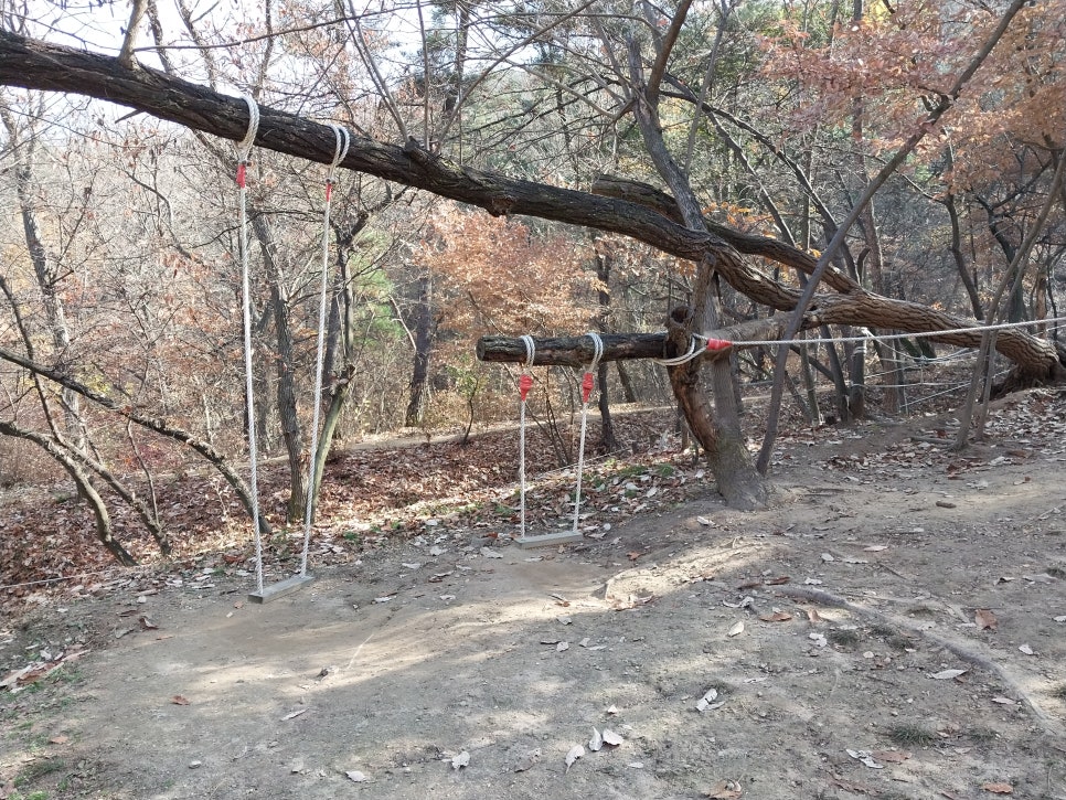 금오산 유아숲체험원 이미지