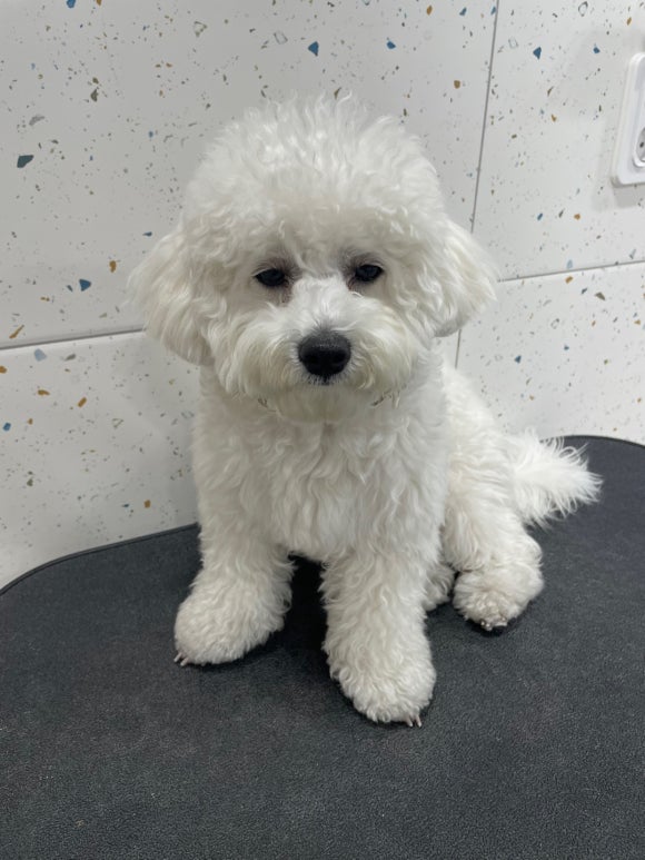 몽이미용실 이미지