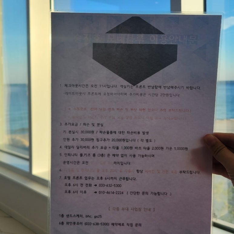 송지호모네블루 이미지