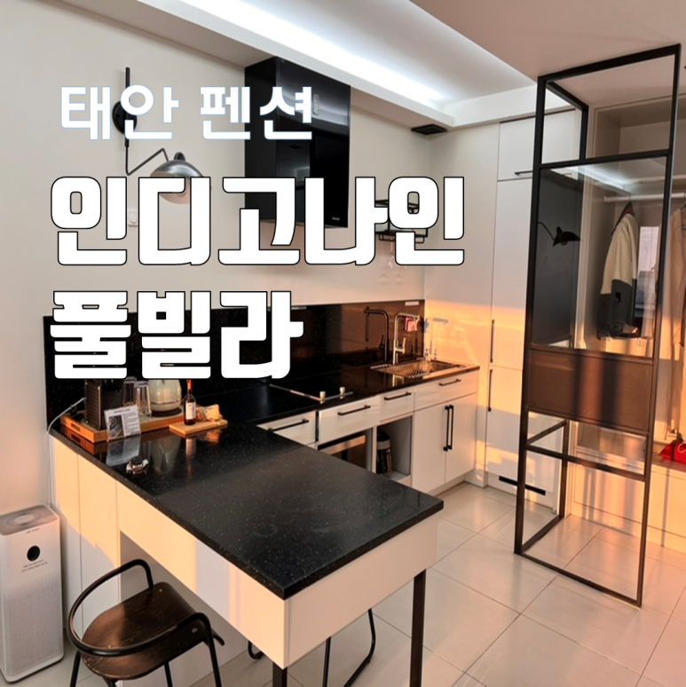 인디고나인 이미지