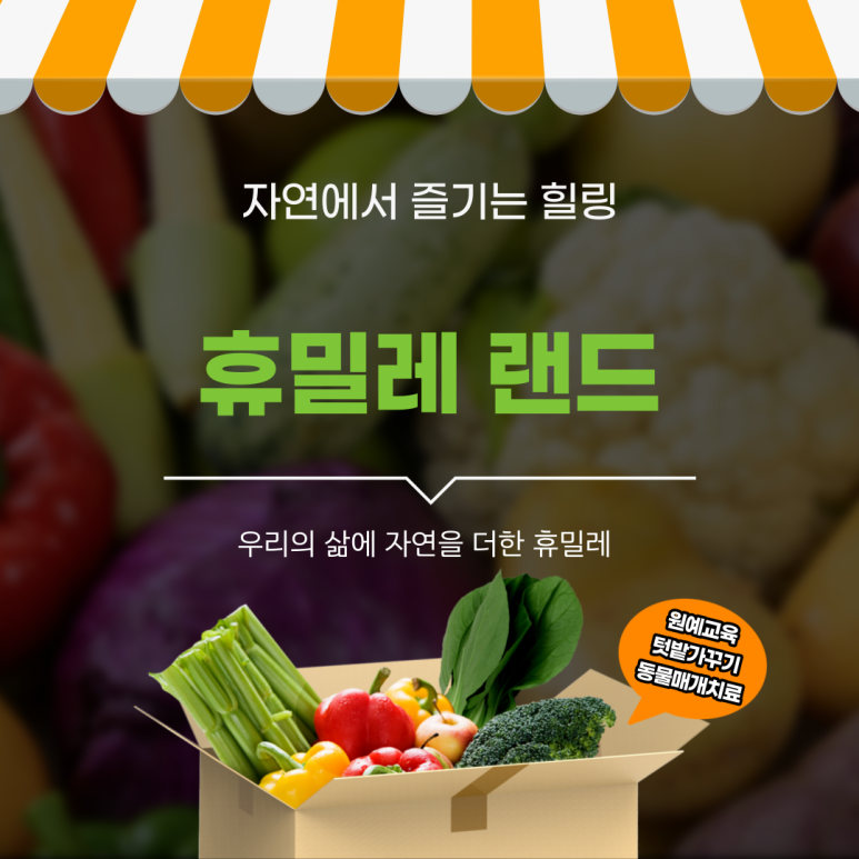 밀레경북 이미지