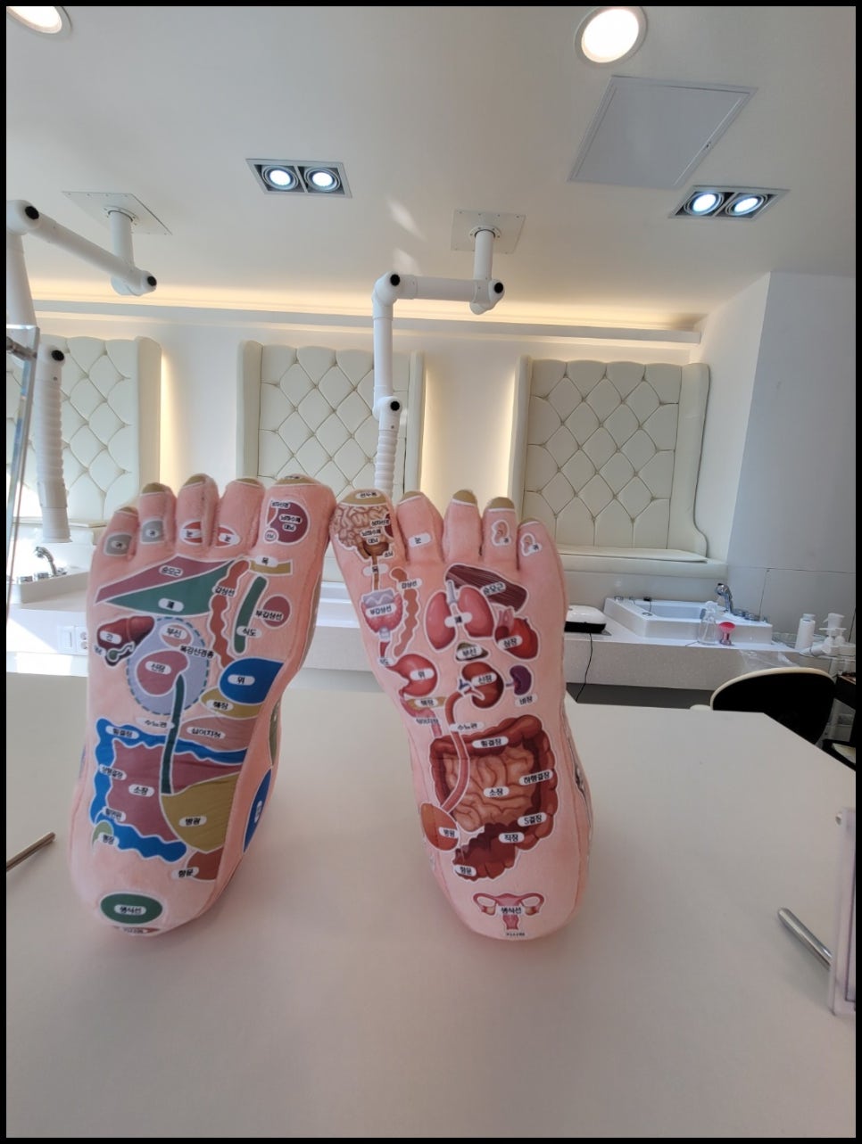 닥터아이티엔서귀포점 이미지