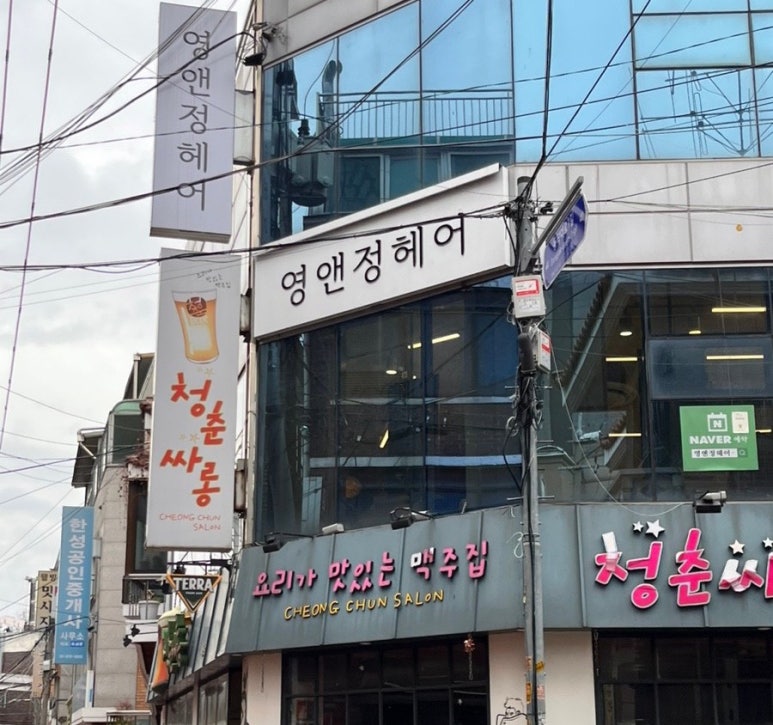 정앤영 이미지