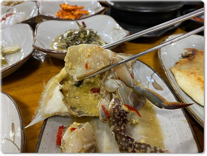 더미송 이미지