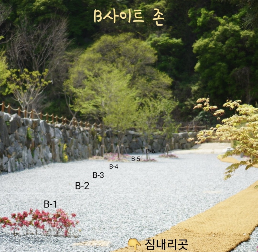 아우어캄푸스 이미지