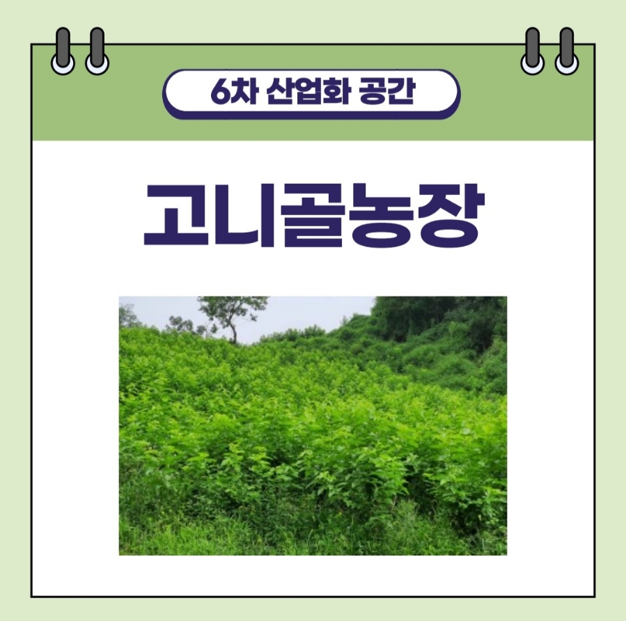 고니골농장 이미지