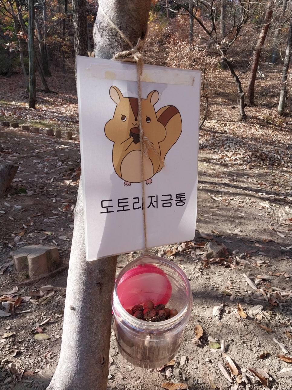 금오산 유아숲체험원 이미지