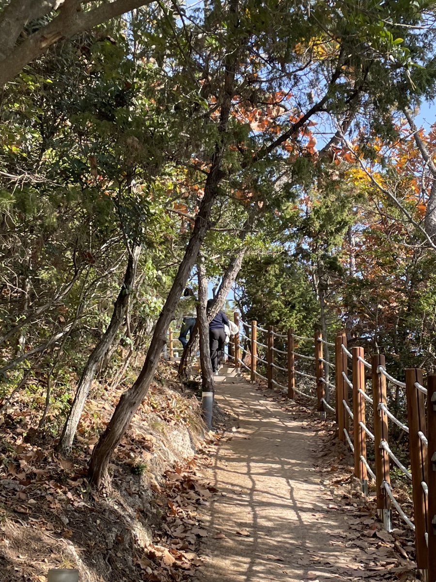 진도순대 이미지