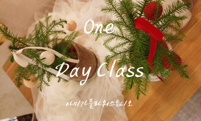 아미가플라워스튜디오 이미지