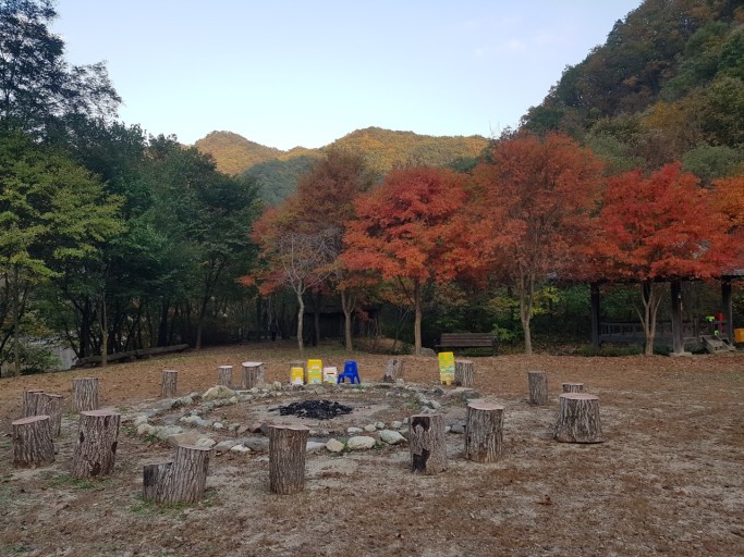 고라데이마을 이미지