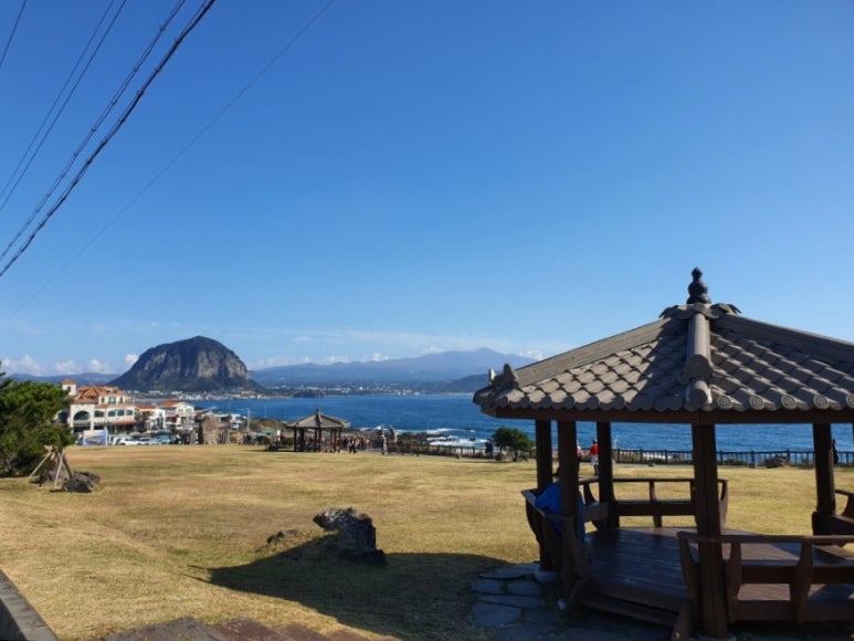 삼다북카페 이미지