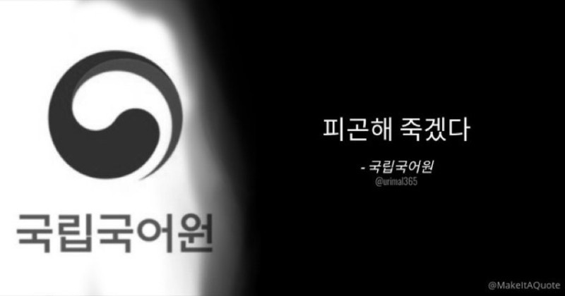 하루정 이미지