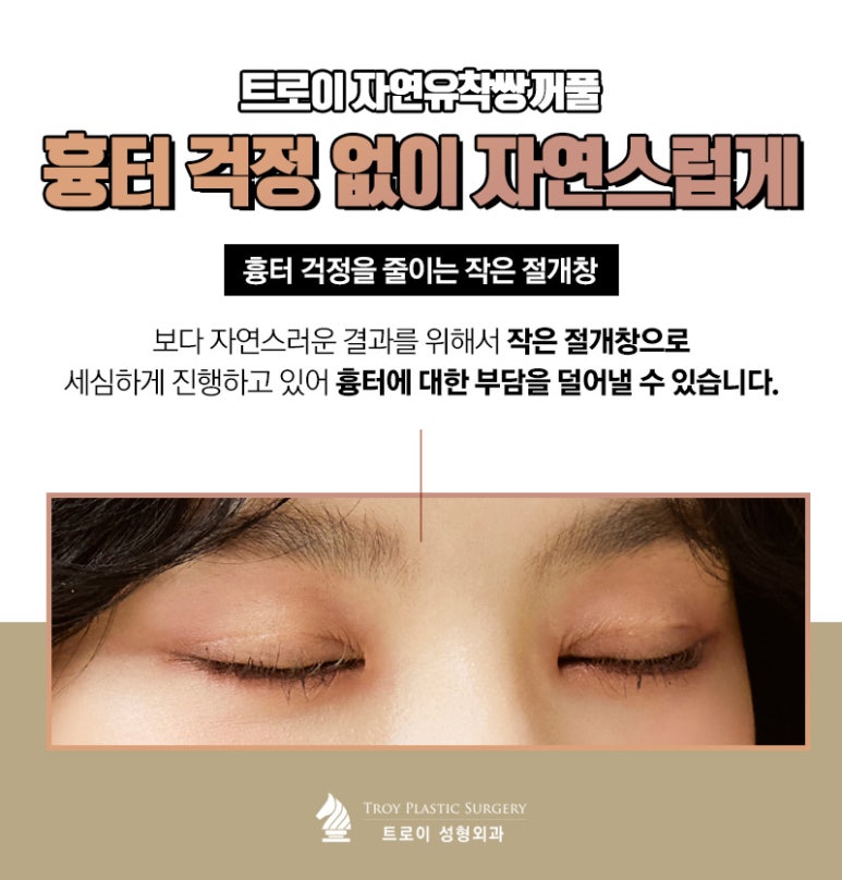 트로이성형외과 이미지