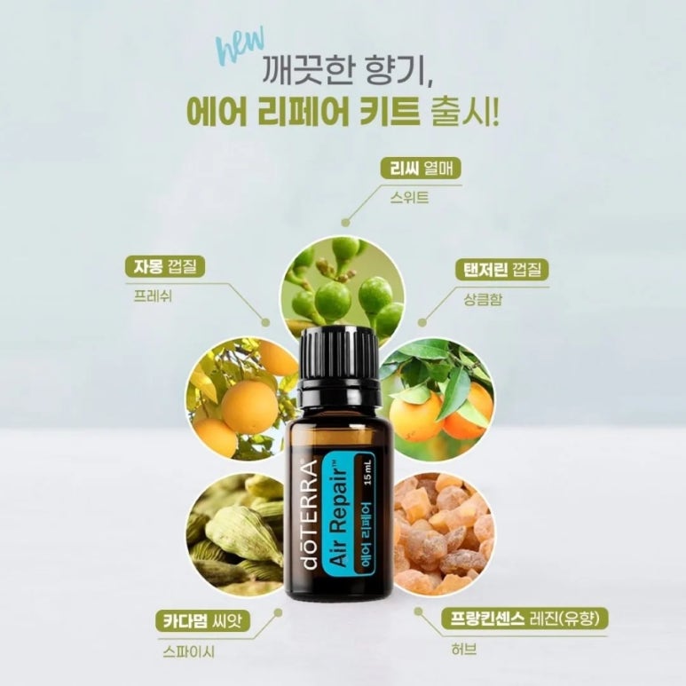 하루리페어 이미지