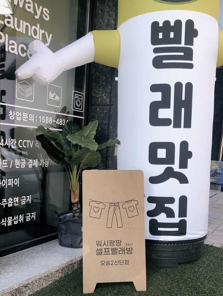워시팡팡오송점 이미지