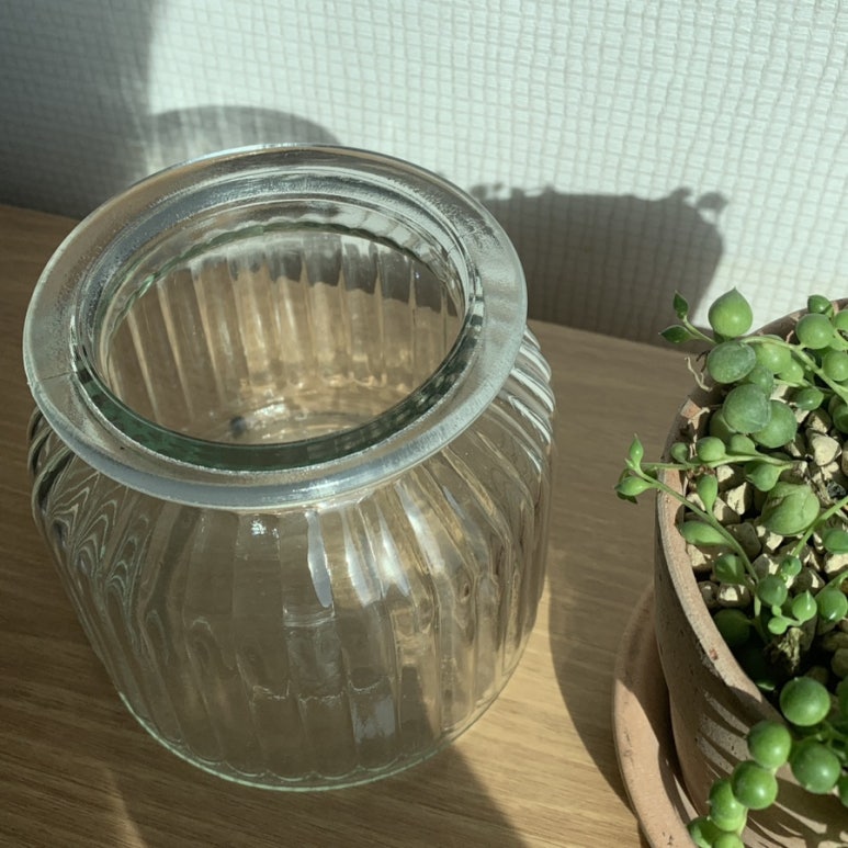 다미그린 이미지