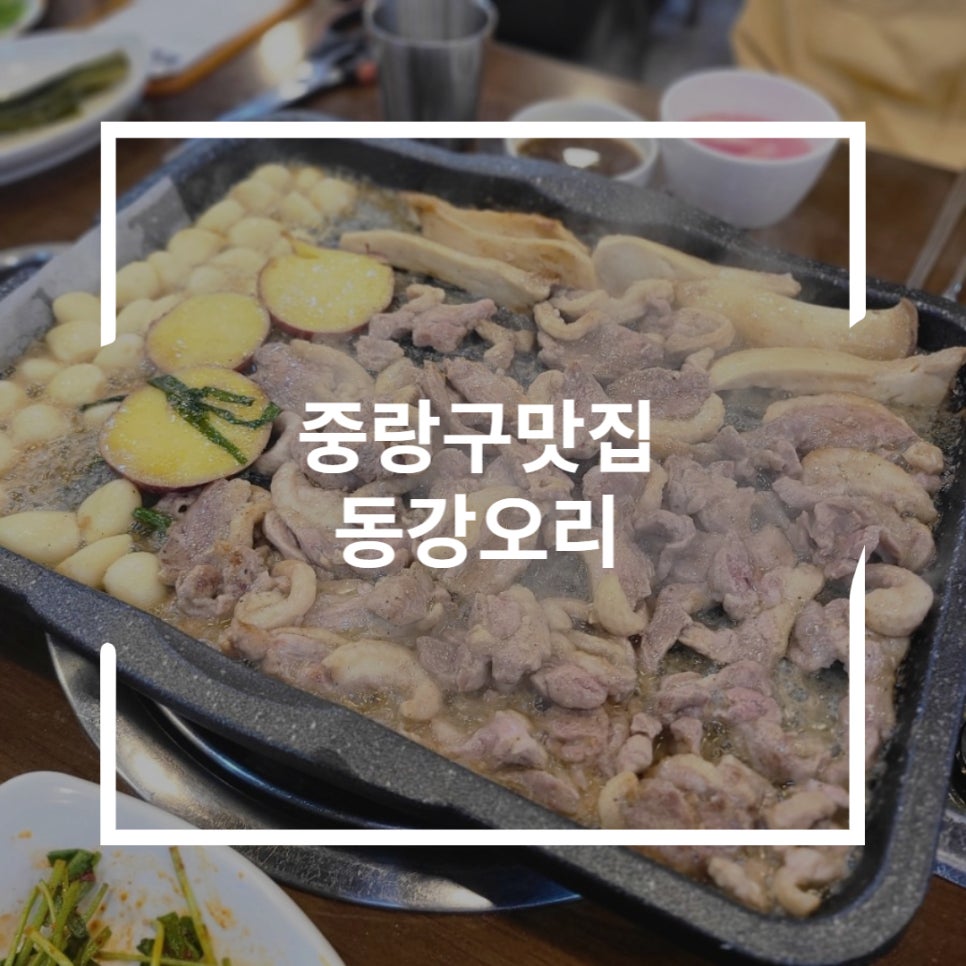 동강오리알 이미지