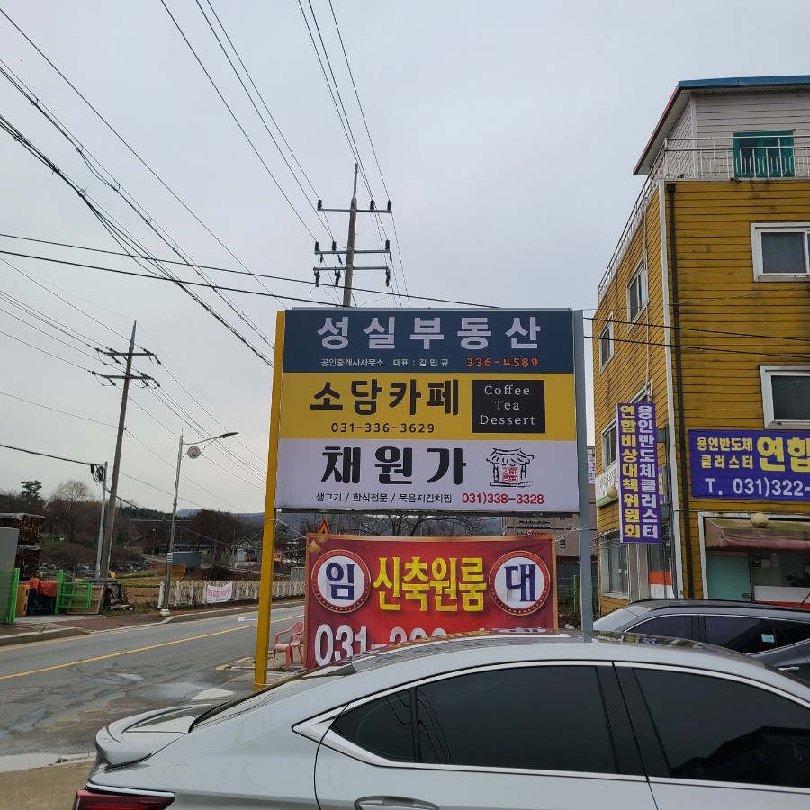 채원가 이미지