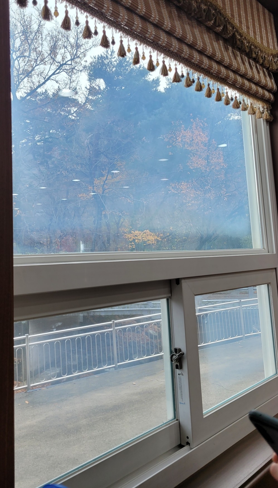 부산복어집 이미지
