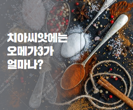 씨앗피트니스 이미지