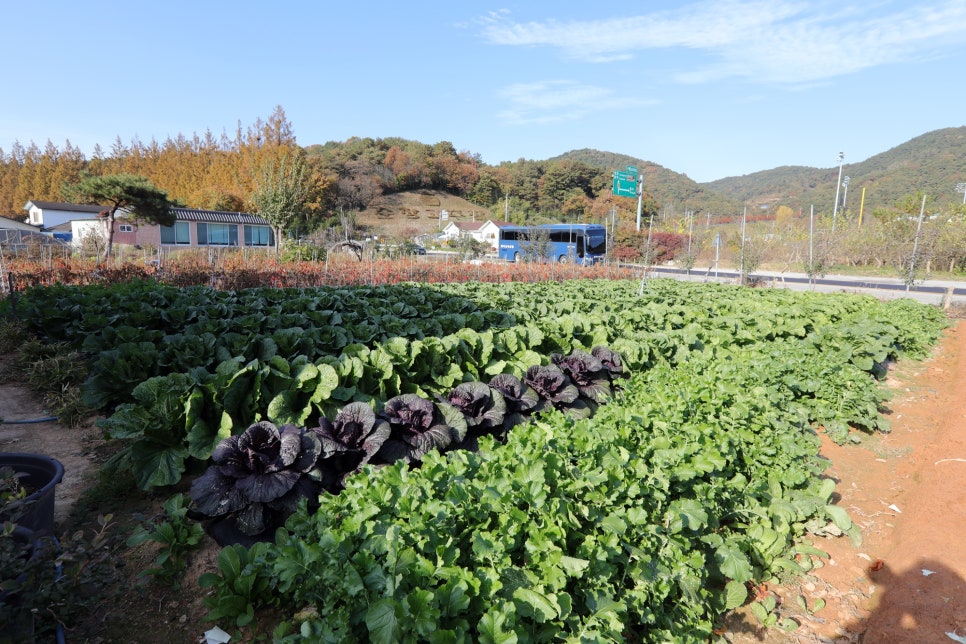 신평가든 이미지