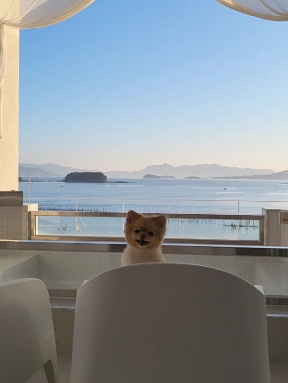 캄힐스위트 이미지