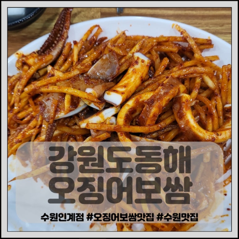 강원도 동해 오징어 보쌈 이미지