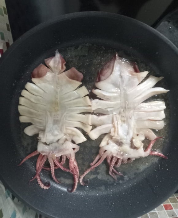 꾸버꾸버 이미지