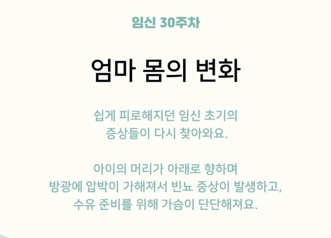 마리네일 이미지