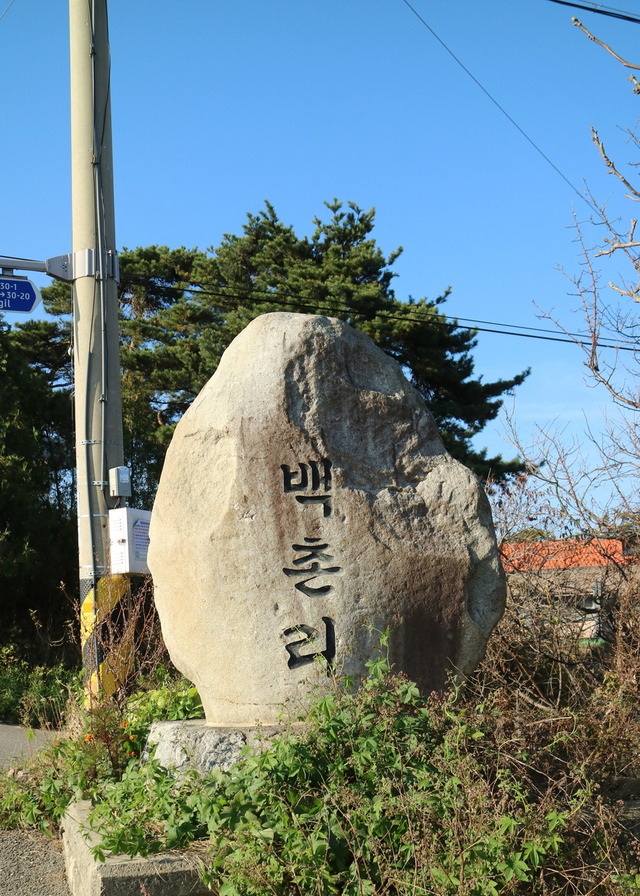 카페백촌리 이미지