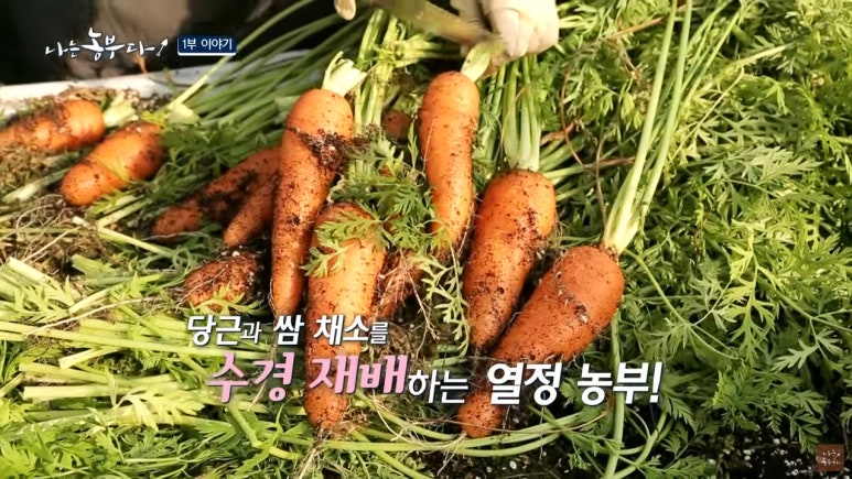 경희농장 이미지