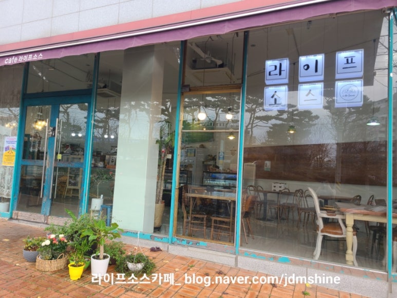 라이프소스 이미지