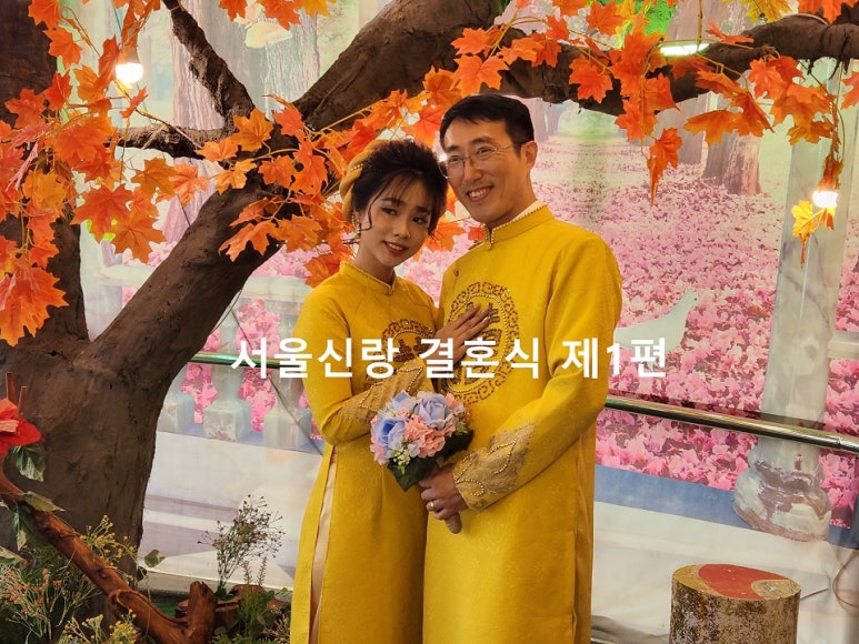 달베트남 이미지