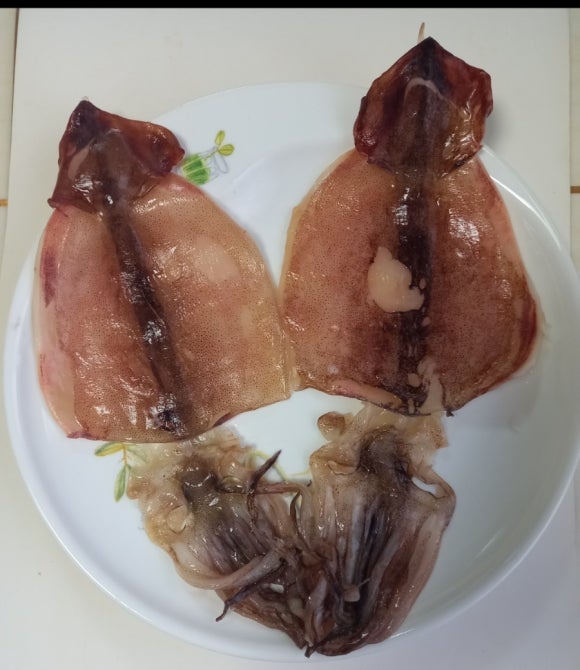꾸버꾸버 이미지