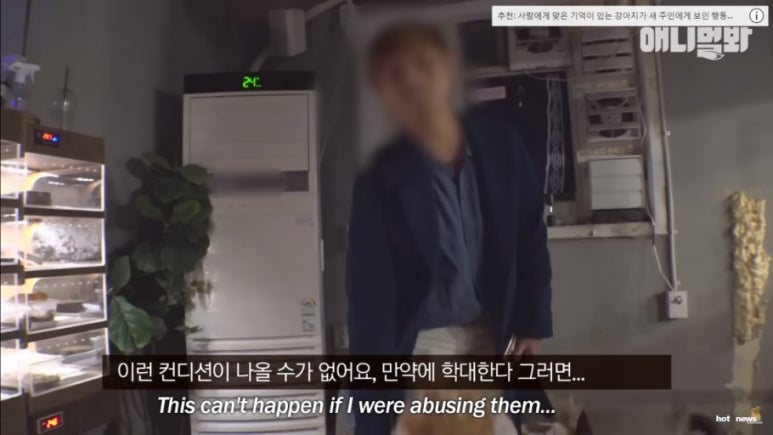 카페더유월 이미지