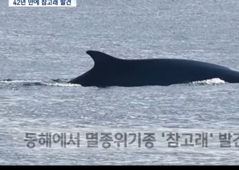 모비딕수산 이미지