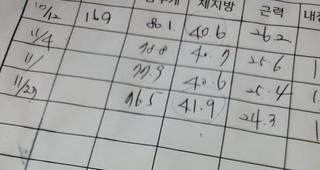 리사올댄스핏 이미지