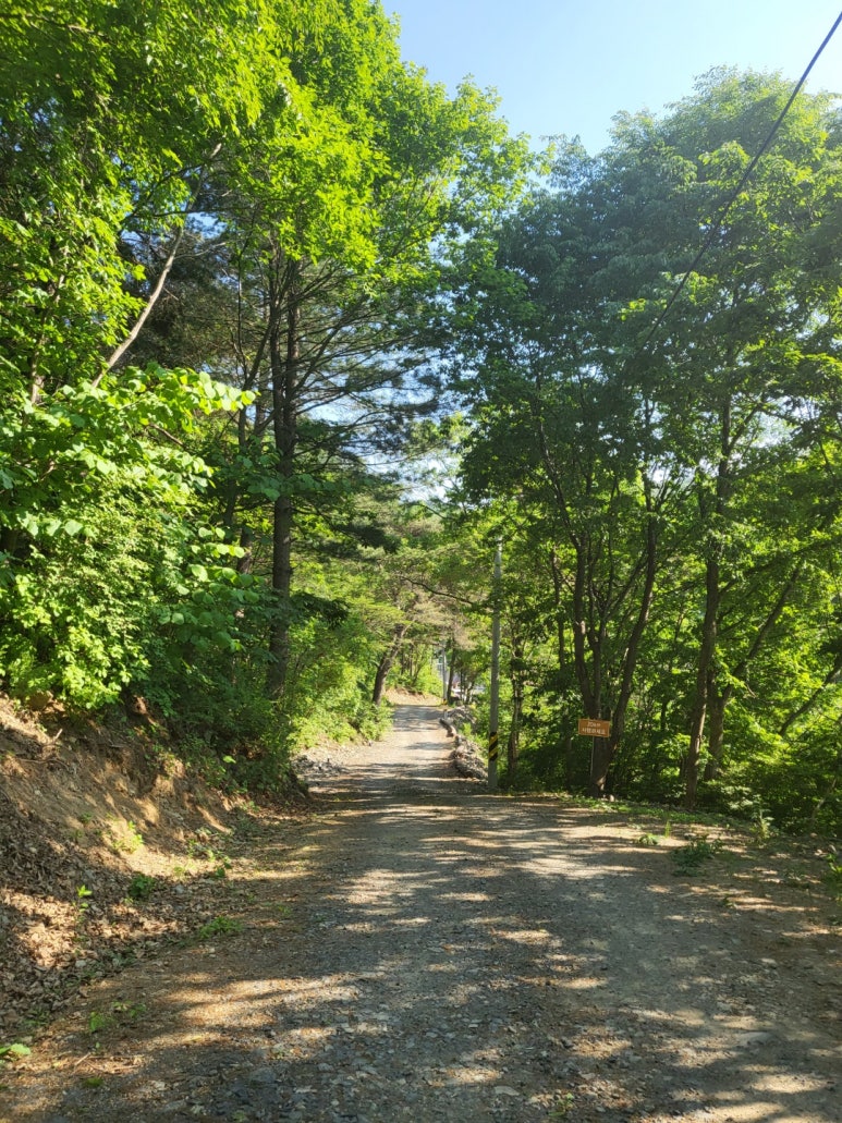 오솔길오토캠핑장 이미지