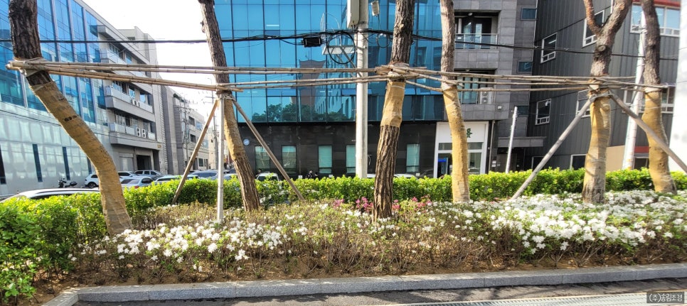 (주)코리아조경 이미지