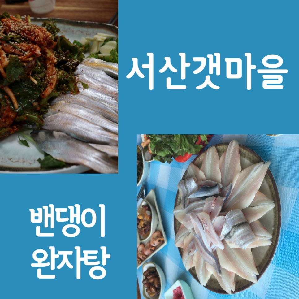서산밴댕이 이미지