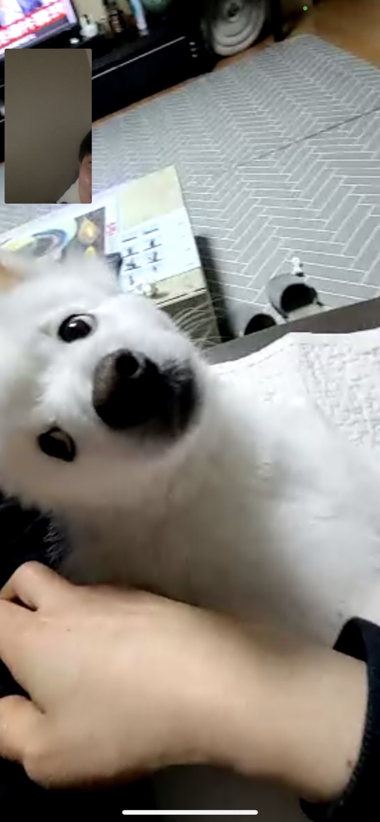 다복향마라탕삼척점 이미지