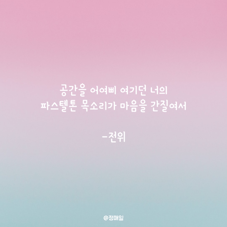 아방베이커리 이미지