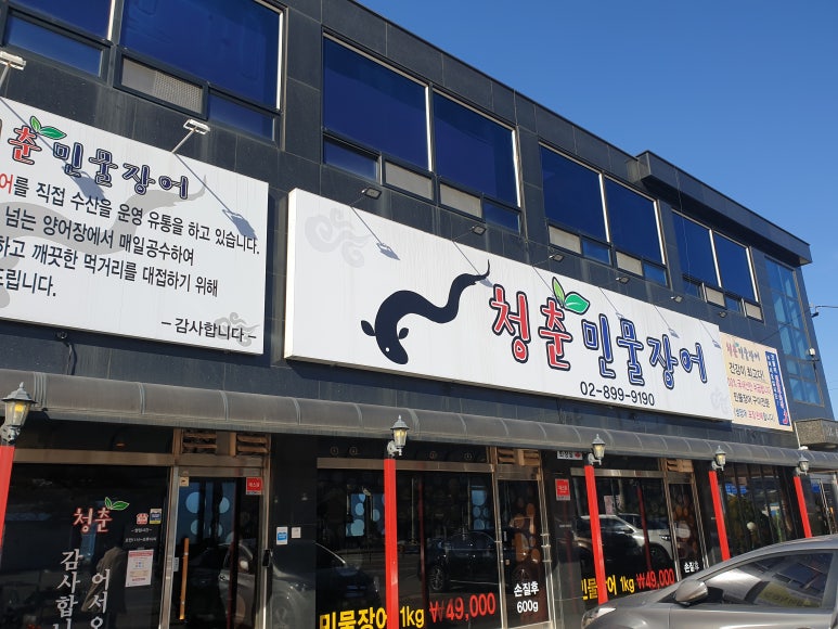 청춘민물장어 이미지