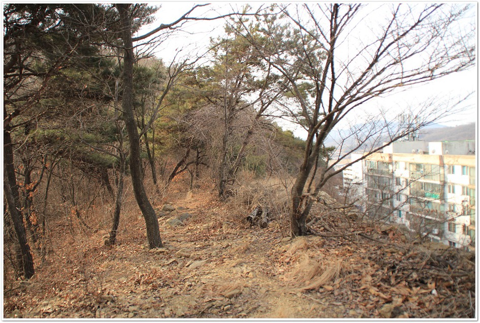 신풍밧데리 이미지