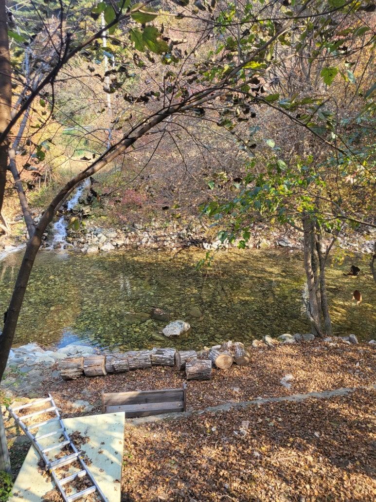 해피스토리펜션 이미지