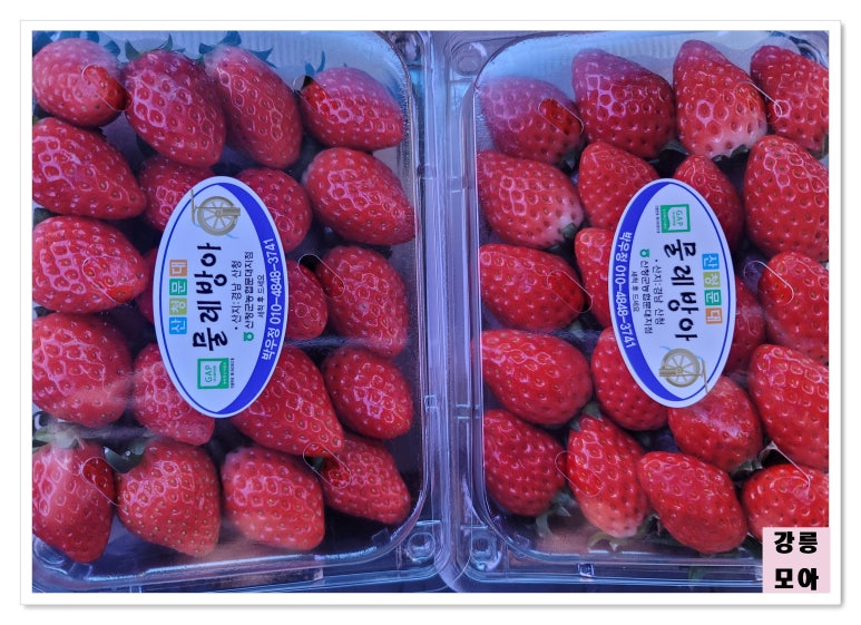 우리식자재할인마트 이미지
