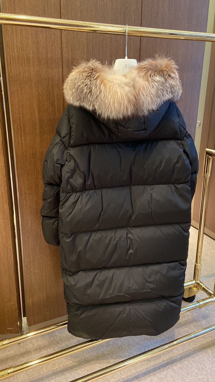 마로니에르 이미지