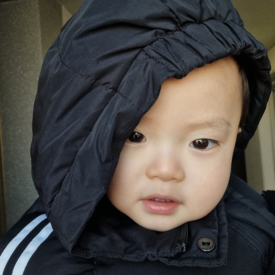 펭귄꼬마김밥 이미지