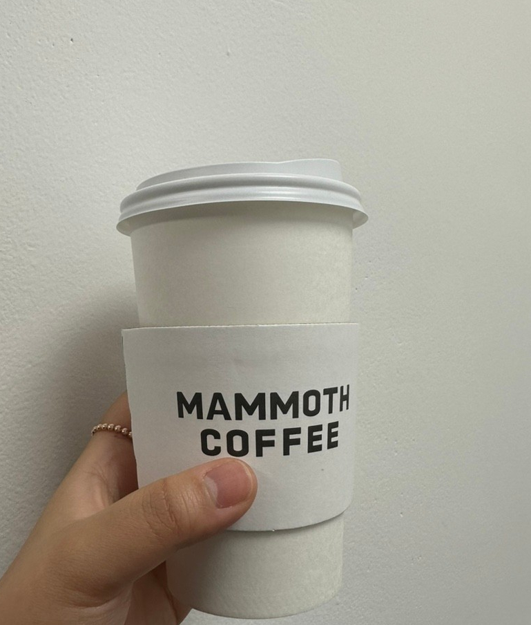 매머드익스프레스서초 이미지