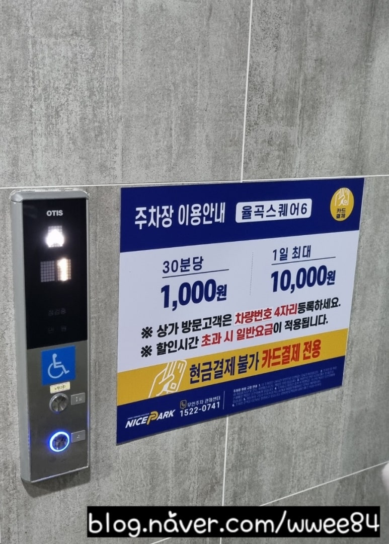 채미다움 이미지